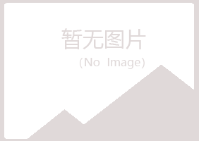 合山晓夏采矿有限公司